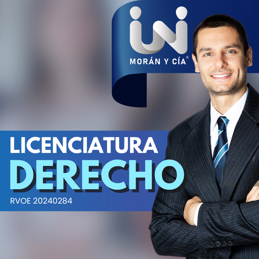 [86101810-1] Licenciatura en Derecho