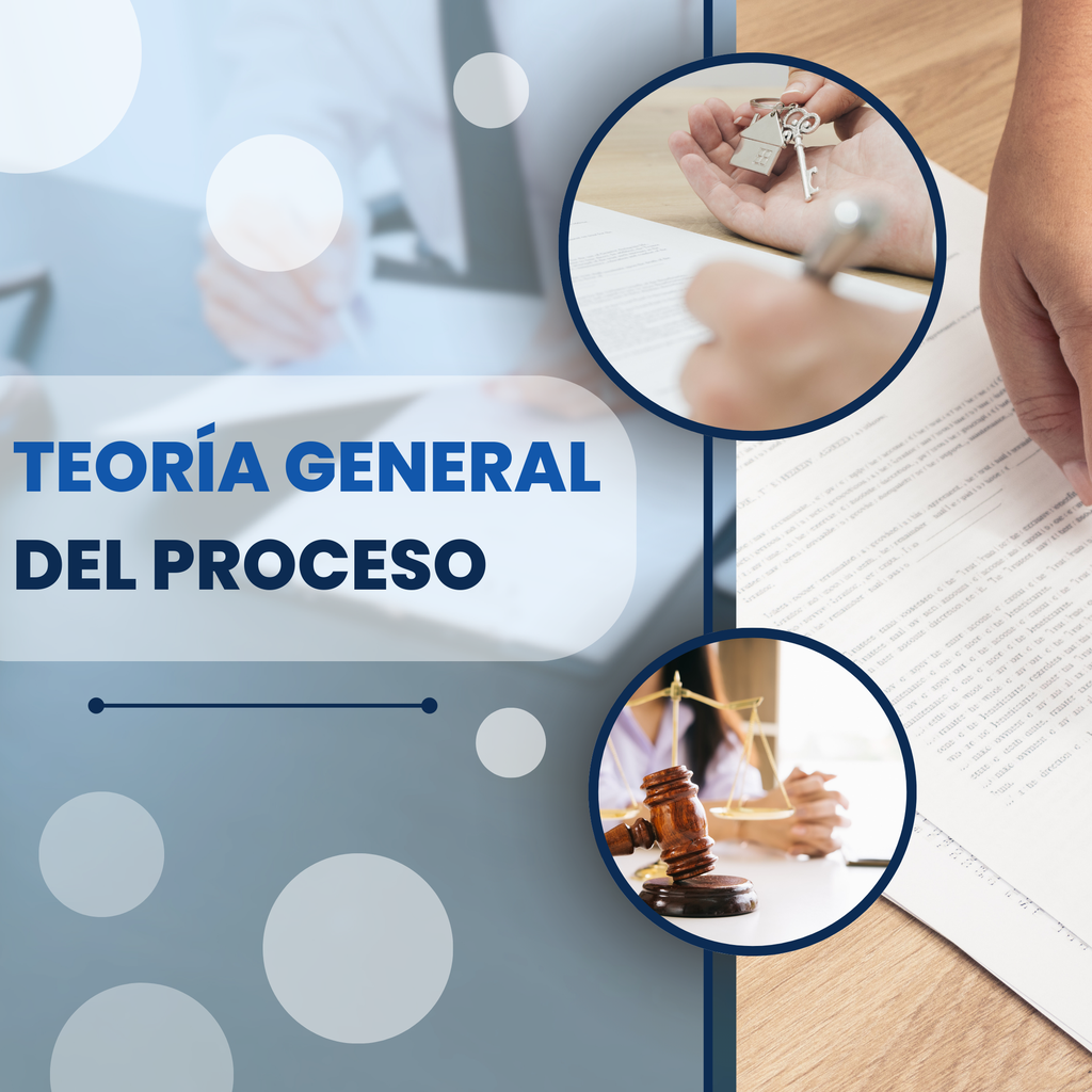 TEORÍA GENERAL DEL PROCESO