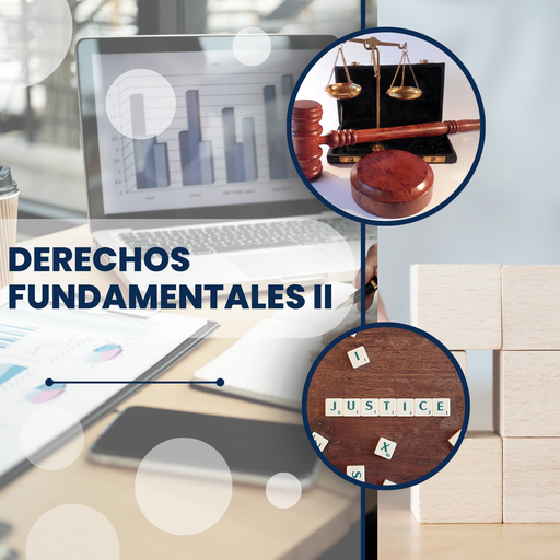 DERECHOS FUNDAMENTALES II