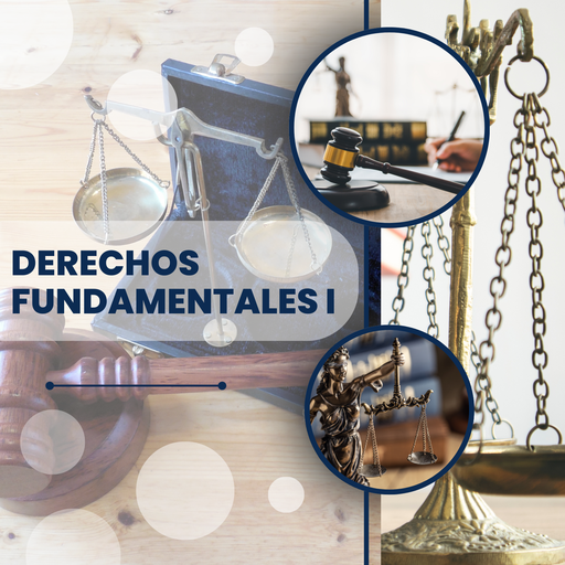 DERECHOS FUNDAMENTALES I